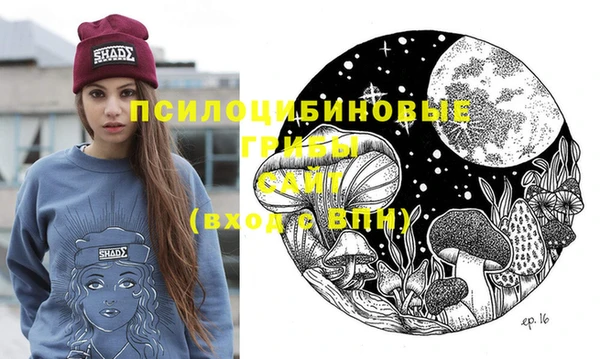индика Пролетарск