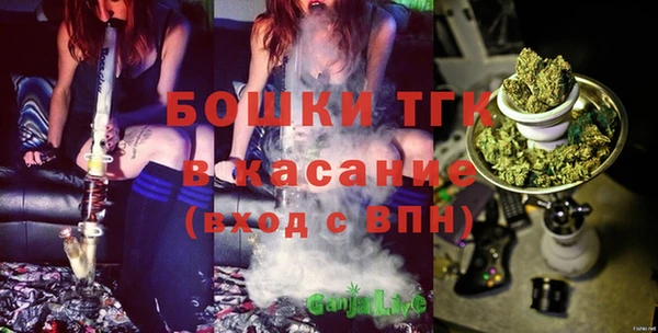 не бодяженный Горно-Алтайск