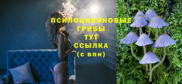 герыч Горнозаводск